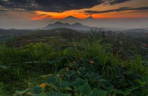 Wisata Magelang