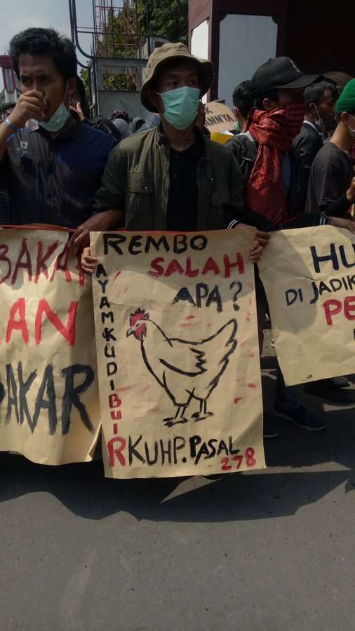 DPR