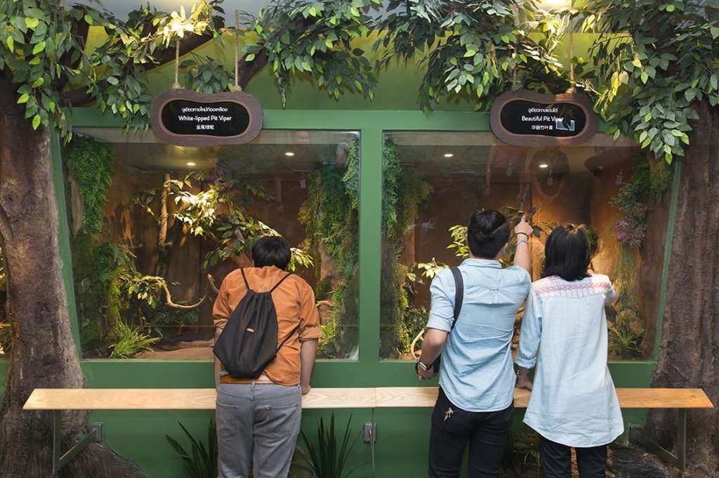 7 Tempat Wisata Bangkok, Cocok untuk Liburan Keluarga dan Anak-Anak