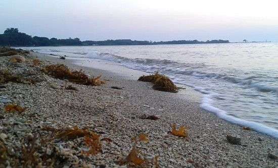 Wisata Pantai Jepara