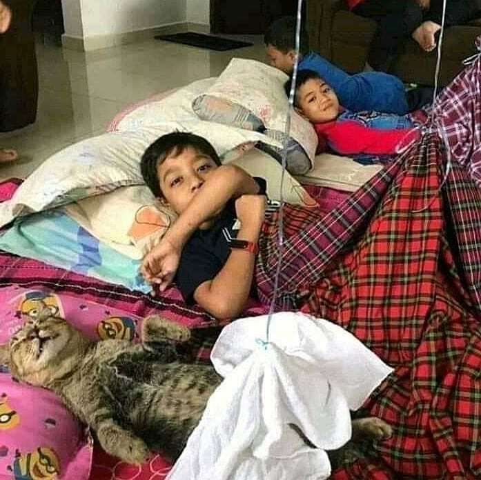 Sunat