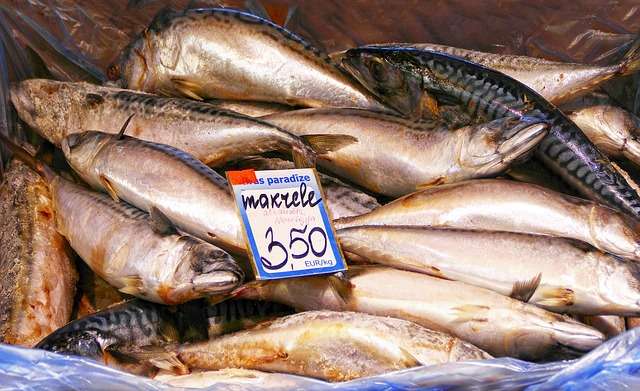 8 Makanan Sehat Mengandung Omega 3 Paling Tinggi, Cobain Yuk!