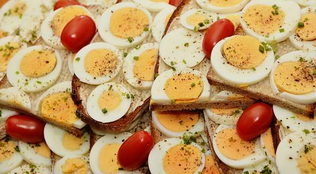 Fakta Tentang Telur