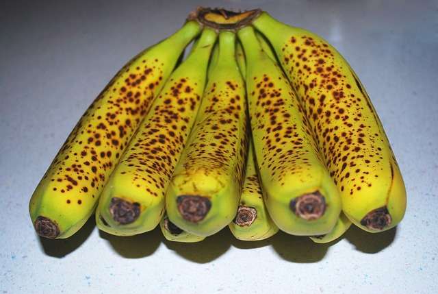 6 Manfaat Buah Pisang Mentah Bagi Kesehatan Tubuh