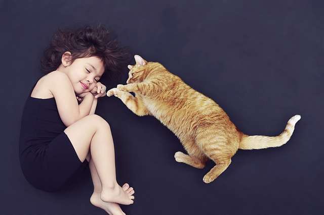 Carilah Tidur Berkualitas Kalian Mulai Dari Sekarang!