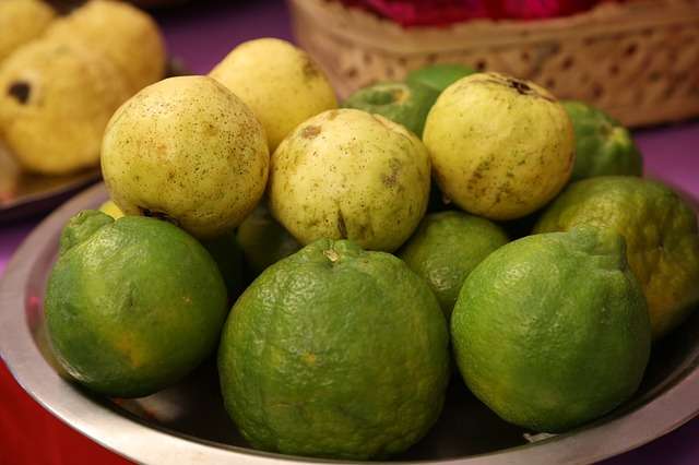 9 Manfaat Buah Jambu Bagi Kesehatan Tubuh
