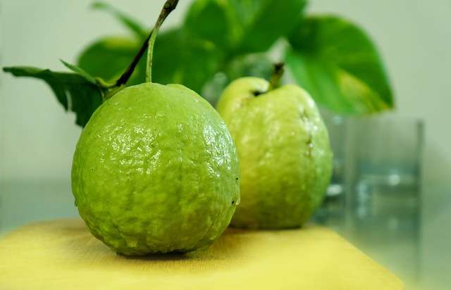 9 Manfaat Buah Jambu Bagi Kesehatan Tubuh