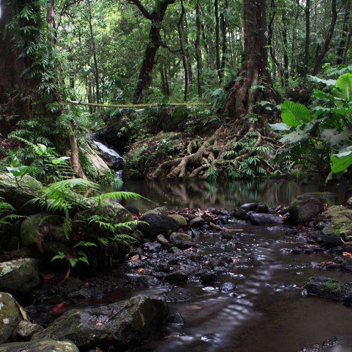 Wisata Probolinggo