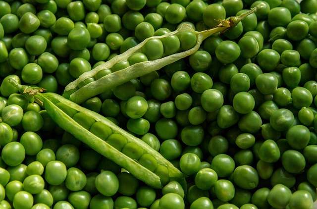 8 Manfaat Kacang Polong yang Jarang Disadari