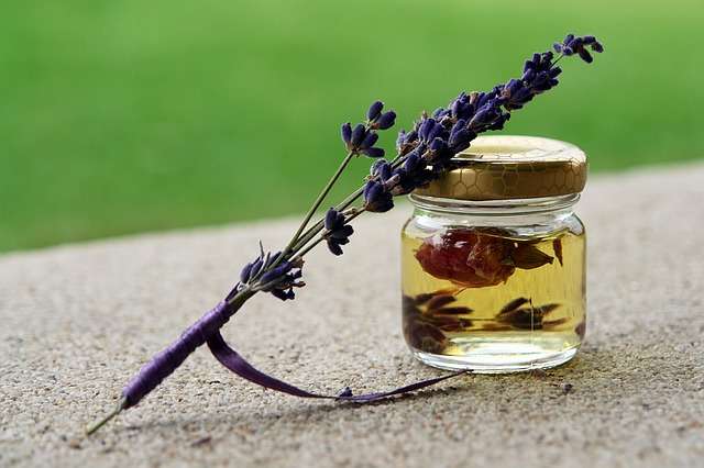 8 Cara Menggunakan Minyak Esensial Lavender Untuk Kulit dan Rambut 8 Cara Menggunakan Minyak Esensial Lavender Untuk Kulit dan Rambut