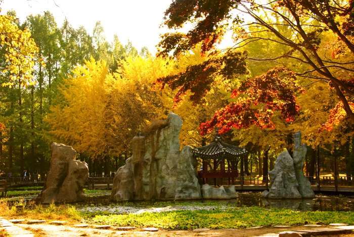 Wisata Alam Korea Selatan
