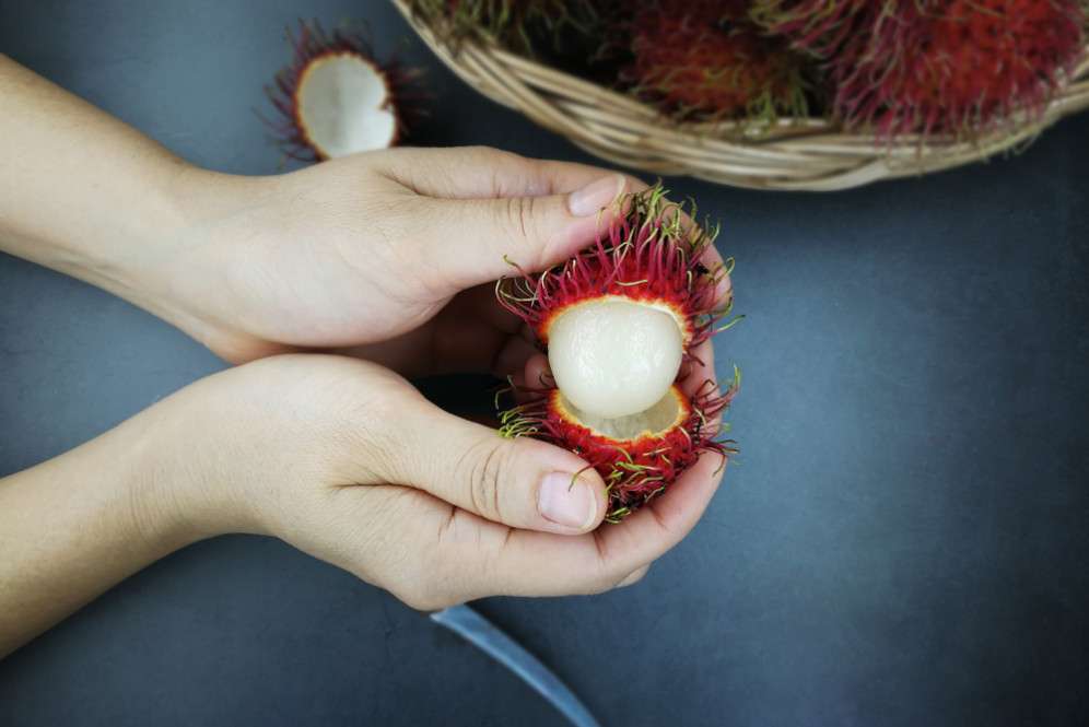 Mamnfaat Rambutan