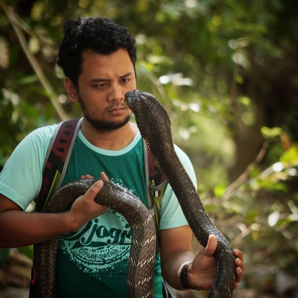 Potret Panji Petualang
