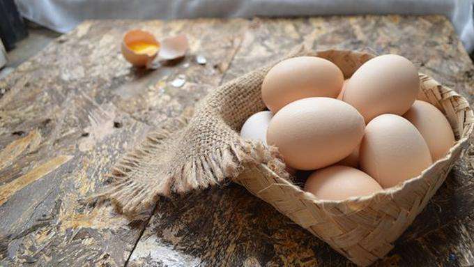 telur