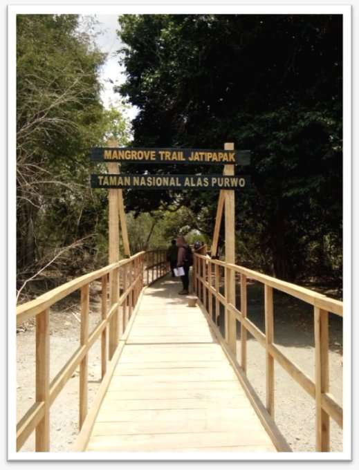 Taman Nasional Alas Purwo