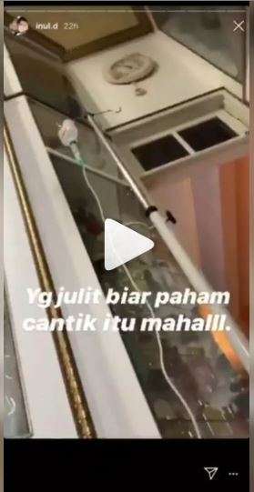 Inul daratista