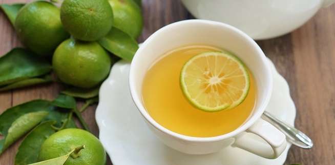 jeruk nipis jeruk nipis