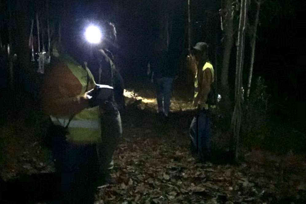 Rombongan jurnalis mencari tarsius
