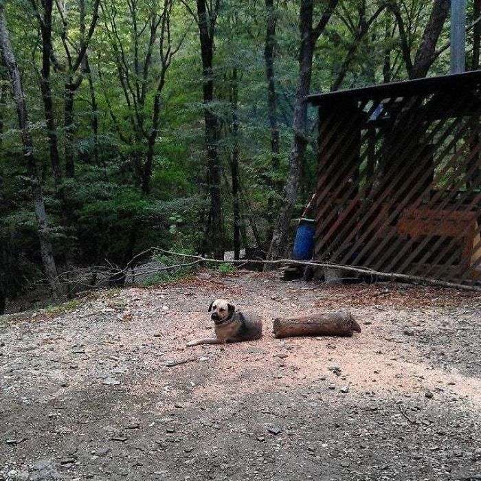 Foto Unik Foto Unik