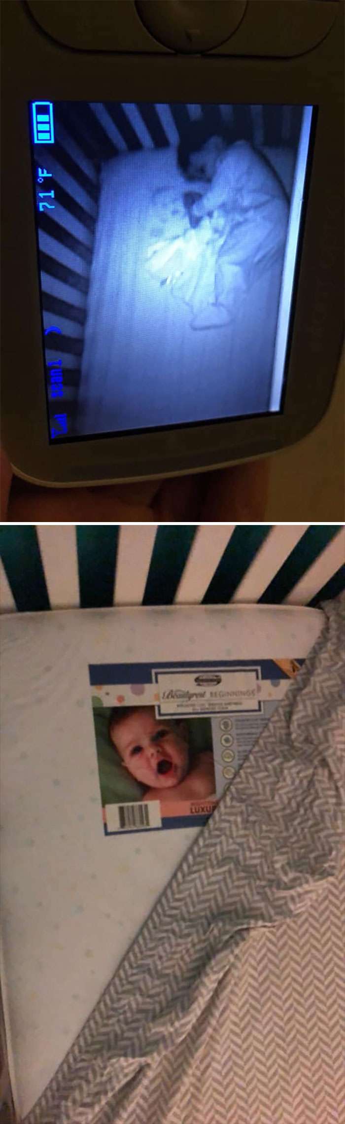 Foto Unik Foto Unik