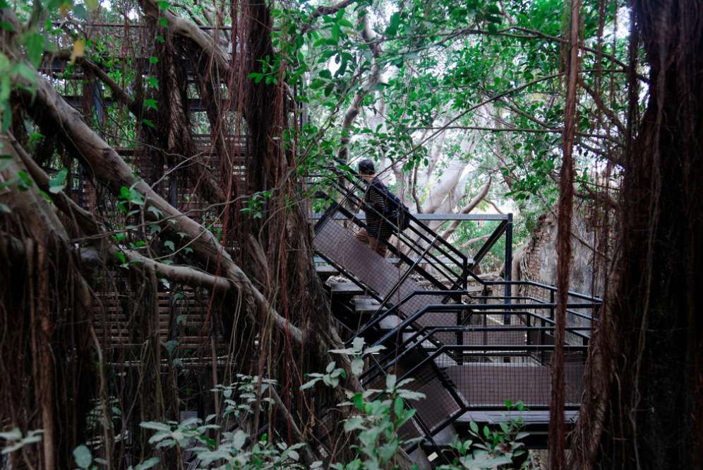 Rumah Pohon Anping