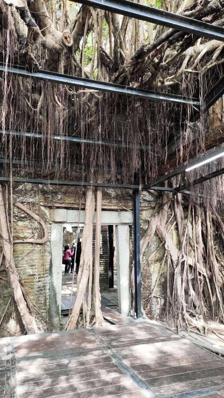 Rumah Pohon Anping