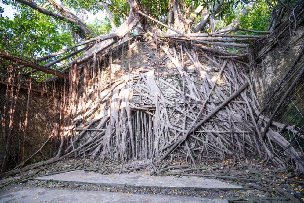 Rumah Pohon Anping