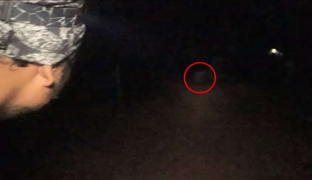 Panji melihat sosok menyerupai alien (Foto: Youtube Panji Petualang)
