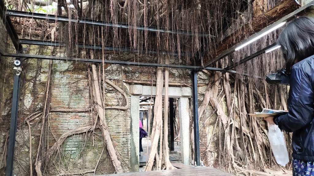 Anping Tree House