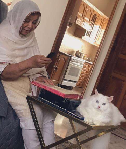 Kucing ini sepertinya senang mendengar bacaan Alquran