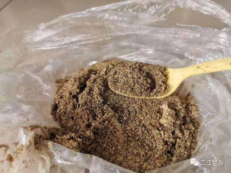 Bubuk siput yang diduga mengandung opium (Foto: World of Buzz)