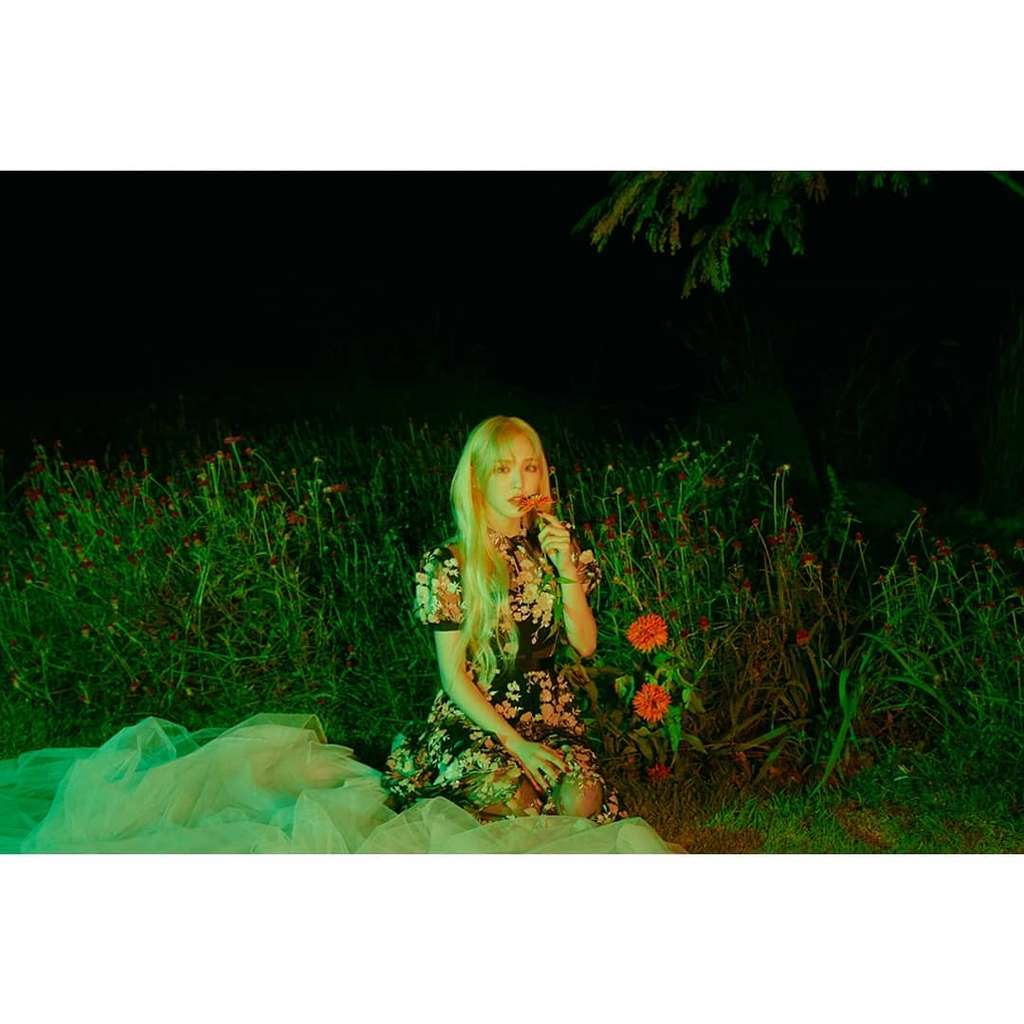 wendy red velvet