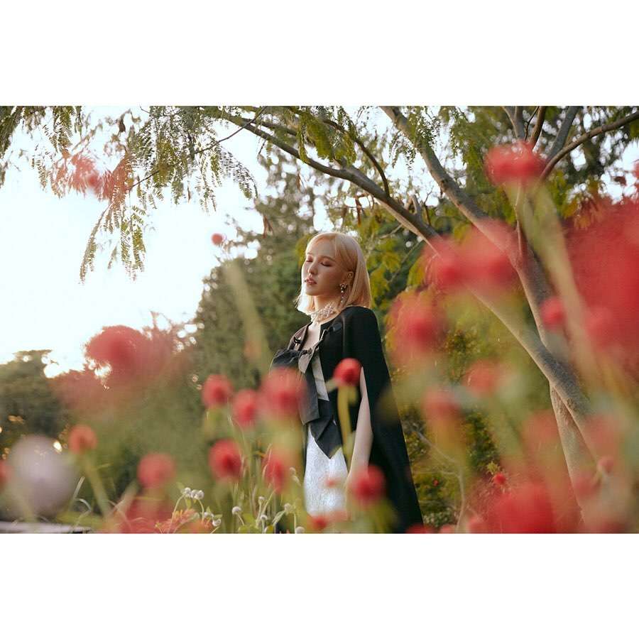 wendy red velvet