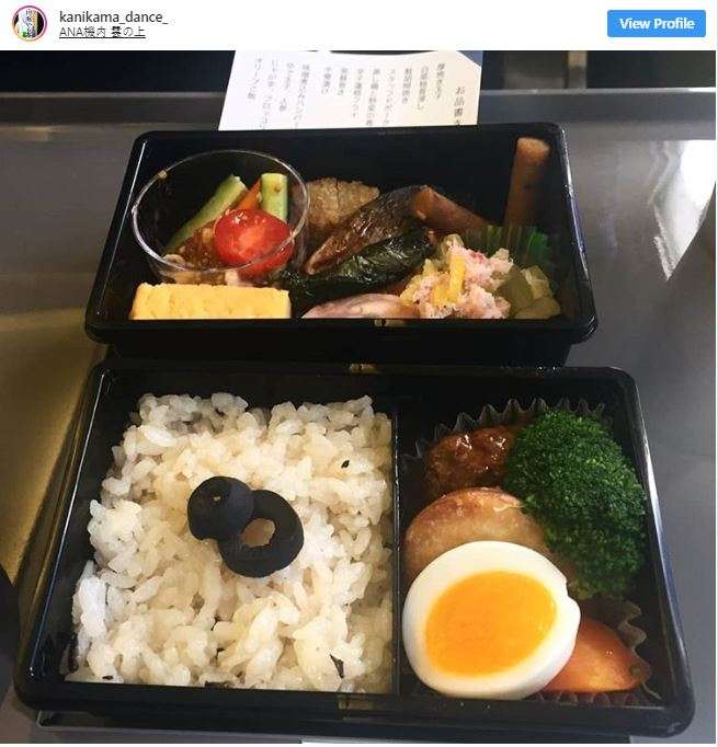Makanan Pesawat
