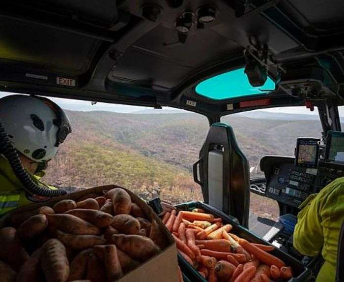 Australia