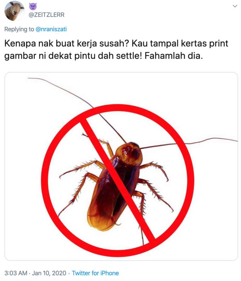 Kecoak