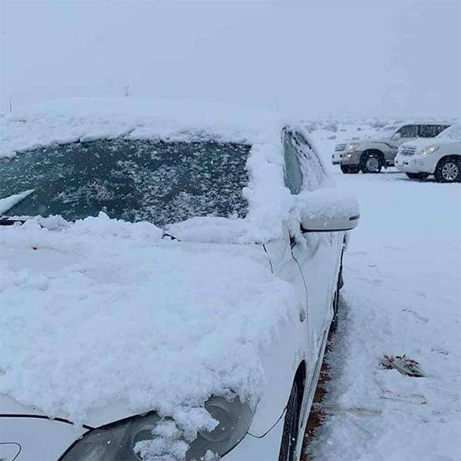 Mobil tertutup salju di kota Tabuk, Arab Saudi.