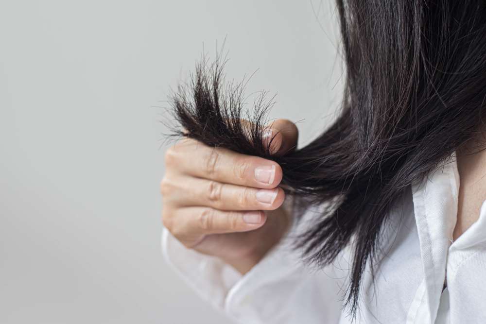 Rambut Bercabang