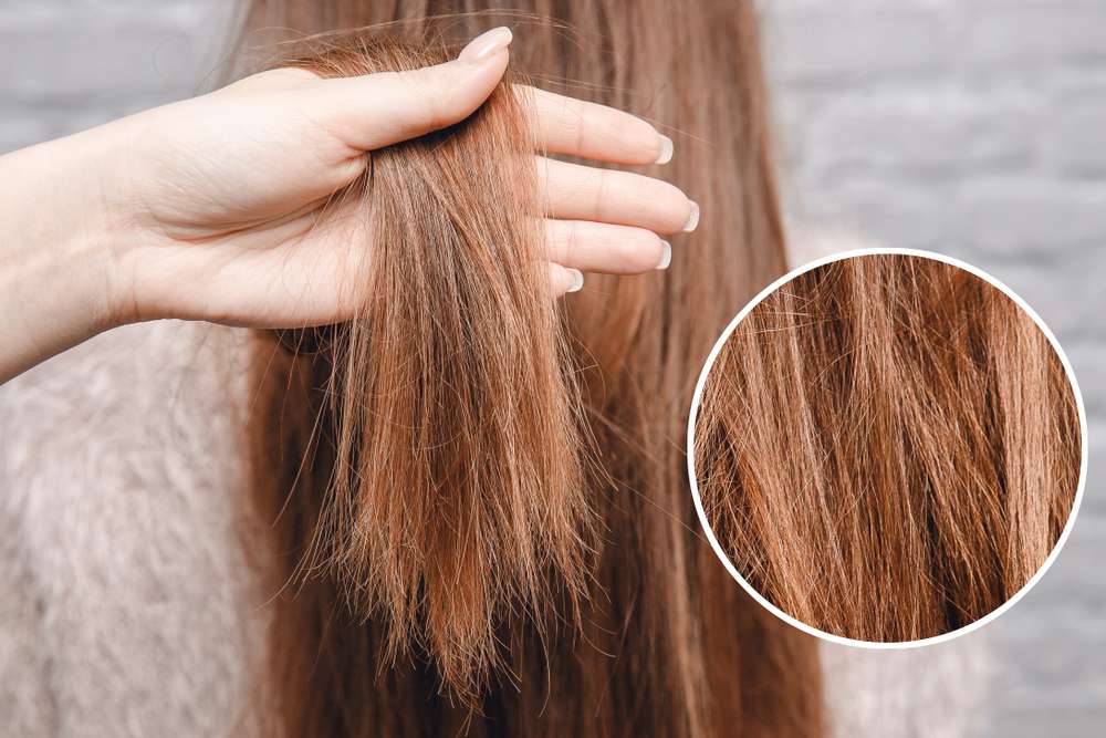 Rambut Kering