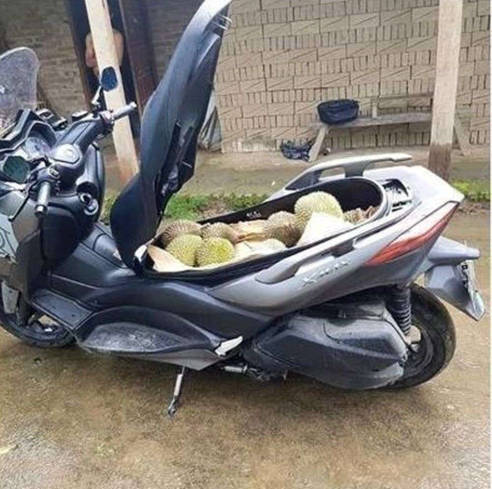 Motor Nyeleneh