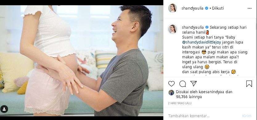 David suami Shandy Aulia
