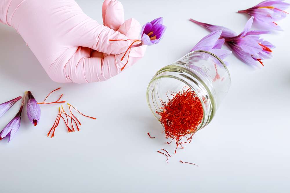 Saffron
