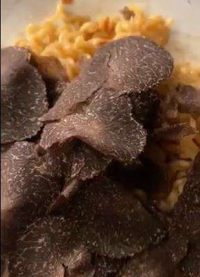 black truffle