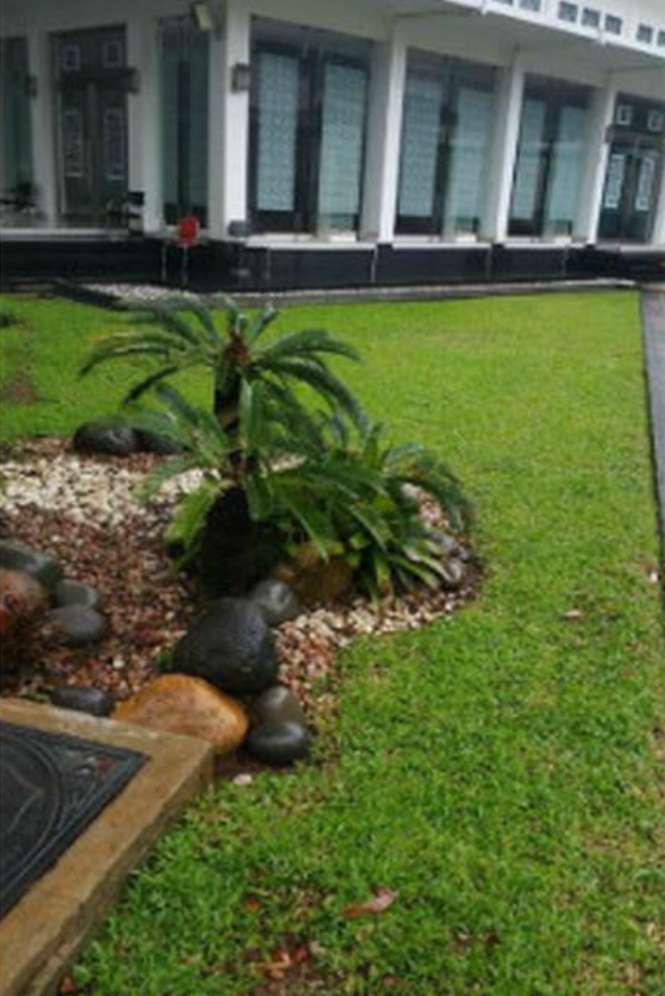 Istana Kepresidenan usai banjir