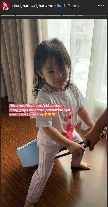 wajah putri nindy ayunda