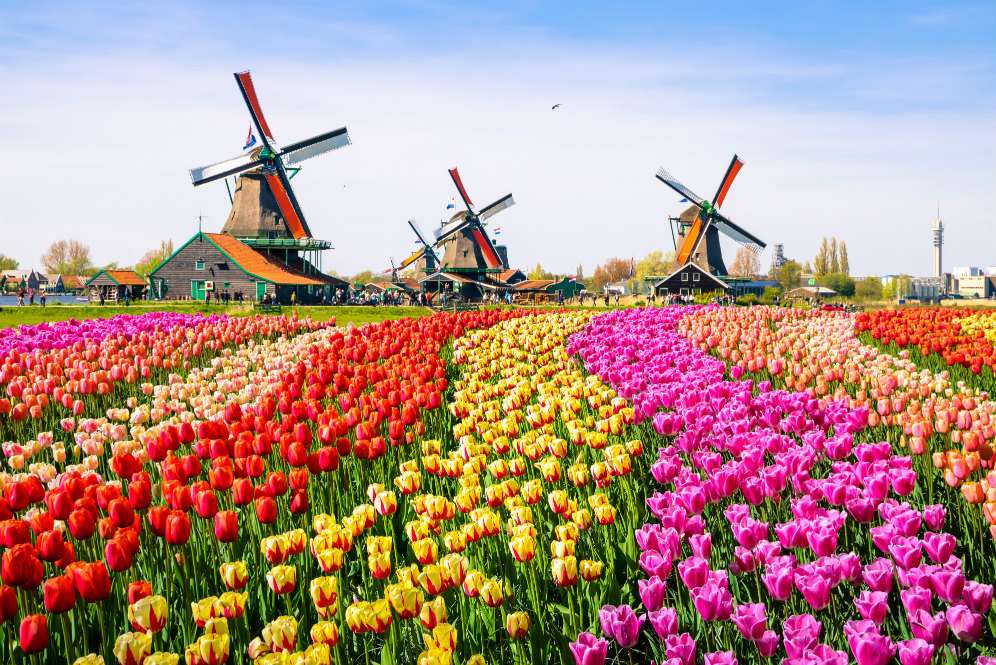 Amsterdam
