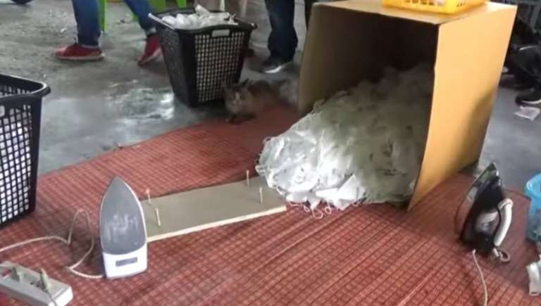 Pabrik masker di Thailand digerebek polisi