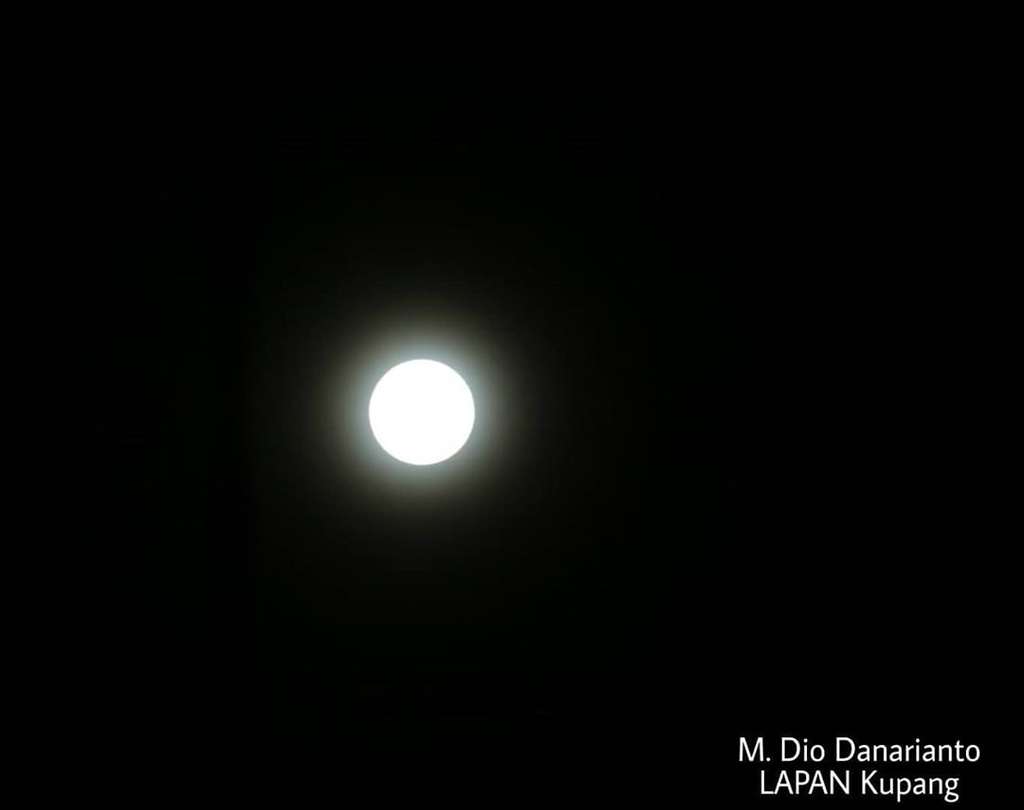 Bulan Cacing Penuh