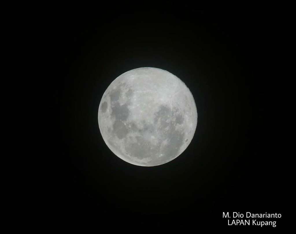 Bulan Cacing Penuh