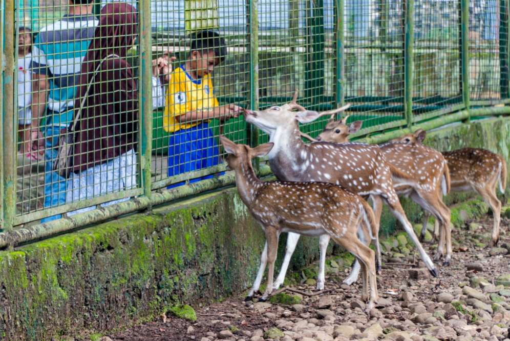 Kebon Binatang Ragunan